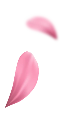 shape